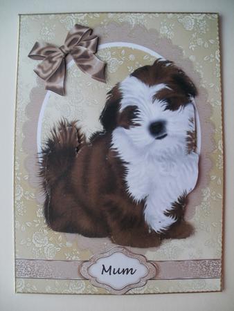 Fluffy Shitzu Puppy by Wendy Smith