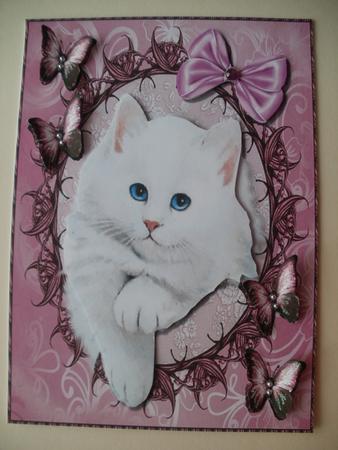 Lovely White Fluffy Kitten by Wendy Smith