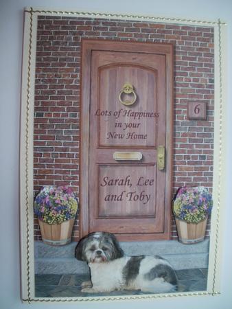 Shih Tzu Door Step Scene by Wendy Smith