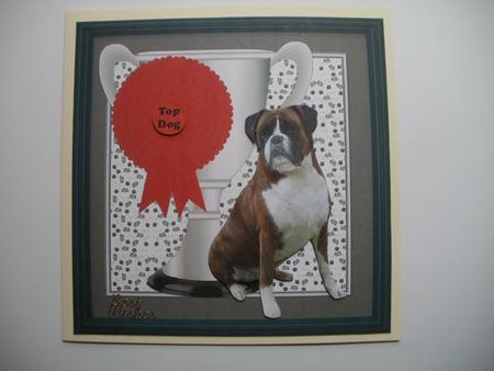 Boxer Dog Trophy and Rosette 8x8 Card by Wendy Smith
