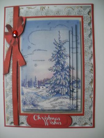 Beautiful Fir Trees in Winter by Wendy Smith