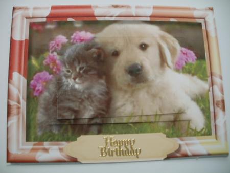 Friends Forever by Wendy Smith