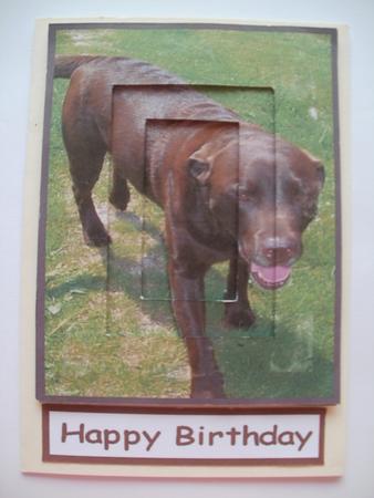Invertage Tunnel Chocolate Labrador by Wendy Smith