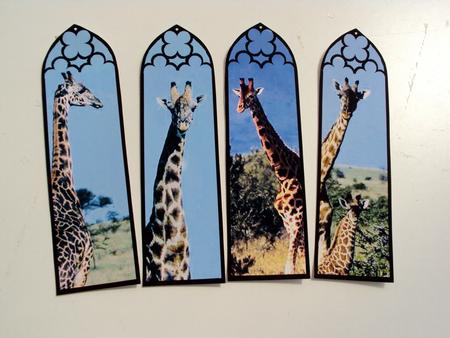 Giraffe by Wendy Freeman