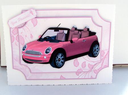 You've Passed in Pink by Wendy Freeman