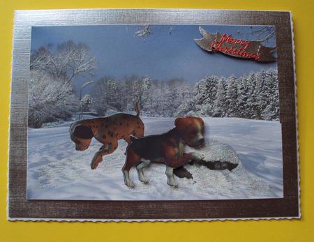 Puppies in the Snow by Wendy Freeman