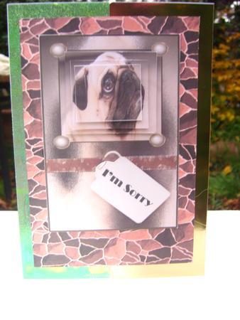 Pug Dogs Rule Pyramid and Topper Happy Birthday Im Sorry Lov by Wenona Elie