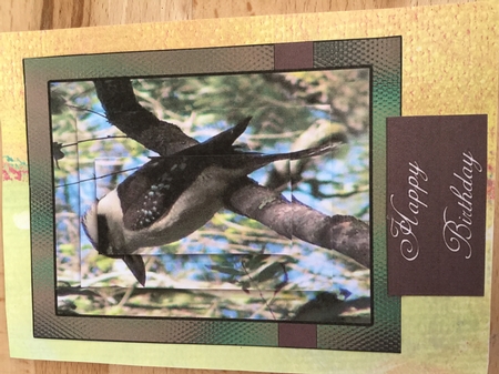 Australiana Series Kookaburra Happy Birthday by Wynona Oneil