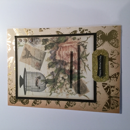 Birdcage Roses by Wynona Oneil