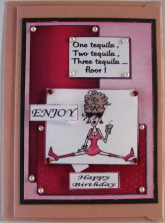 Pink Tequila Humourus by Wynona Oneil