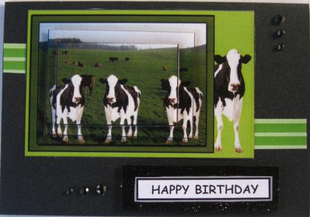 Cowtastic for the Farm Fanatic by Wynona Oneil