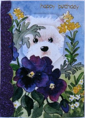 Westie with Pansies Octagon Stacker Featured Gallery Photo