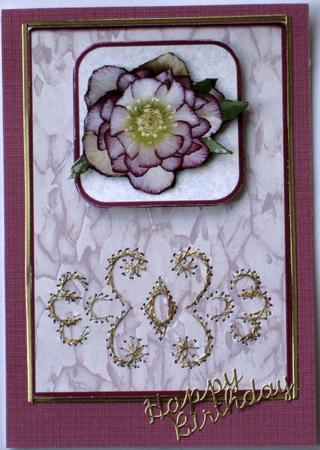 Mauve Helebore Card Front by Wynona Oneil