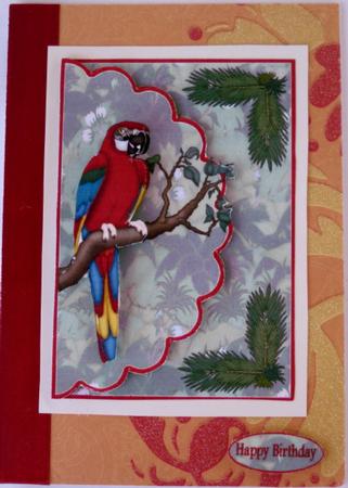 Pretty Polly by Wynona Oneil