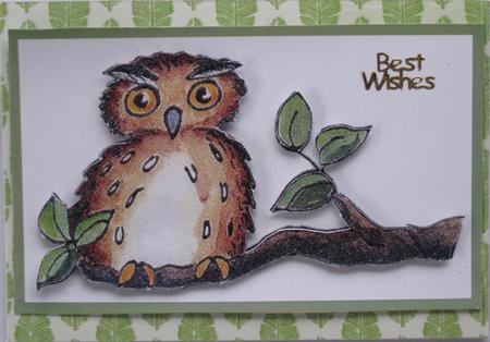 Two Owls by Wynona Oneil