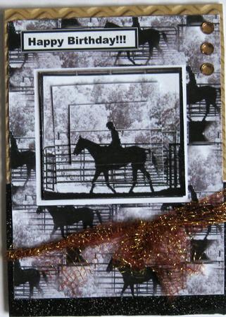 Monochrome Horse by Wynona Oneil