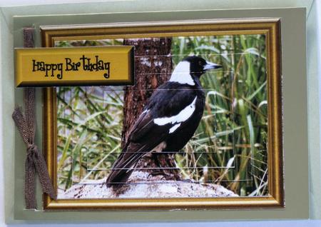 Aussie Natives - Magpie by Wynona Oneil