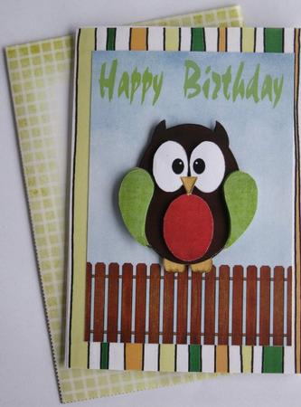 Owl on a Fence by Wynona Oneil