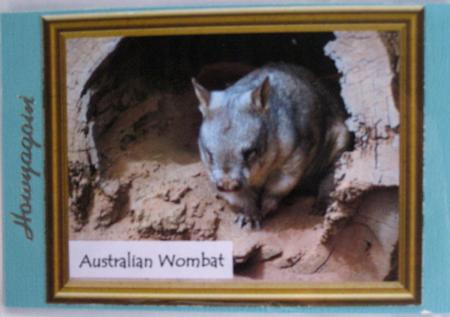Aussie Natives - Wombat Pyramid Topper by Wynona Oneil
