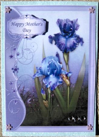 Beautiful Irises & Flourish Frame by Wynona Oneil