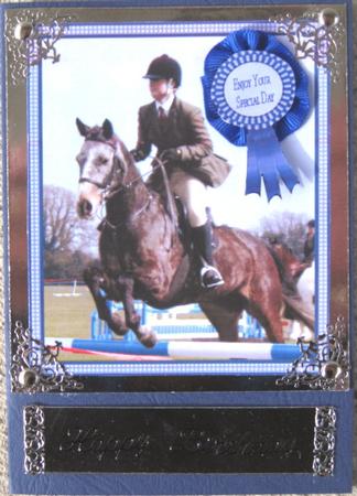 Horse Jumper Topper by Wynona Oneil