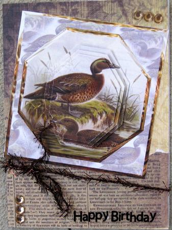 Ducks Enjoying a Morning Swim by Wynona Oneil