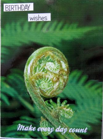 Fern Calender Ready to Print by Wynona Oneil