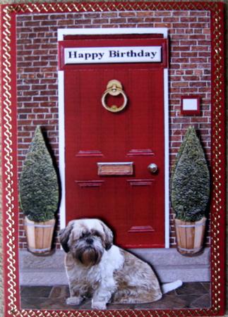 Shih Tzu with a Red Door by Wynona Oneil