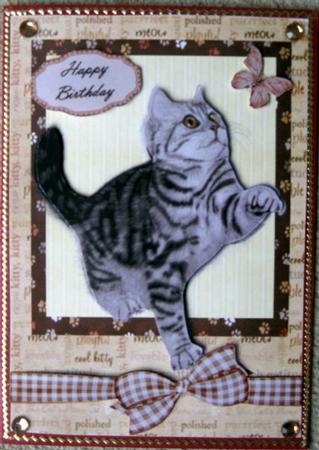 Cute Grey Cat Playing by Wynona Oneil