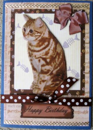 Cute Ginger Cat by Wynona Oneil