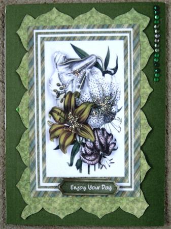 Beautiful Green and White Lillys  by Wynona Oneil