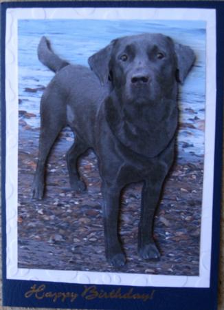 Black Labrador Beach Scene 3D Decoupage by Wynona Oneil