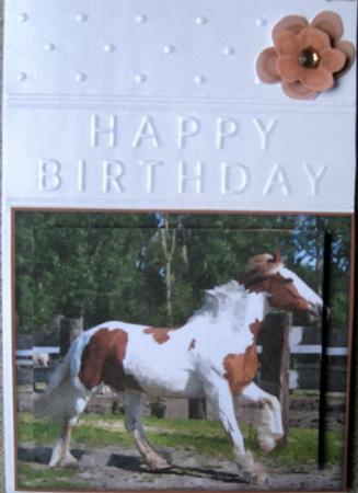 Beautiful Horse's Watercolour Bumper Kit by Wynona Oneil