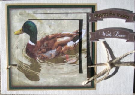 Mallard Duck Watercolour Pyramid Topper by Wynona Oneil