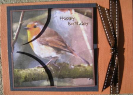 Sweet Little Robin Watercolour Corner Stacker by Wynona Oneil