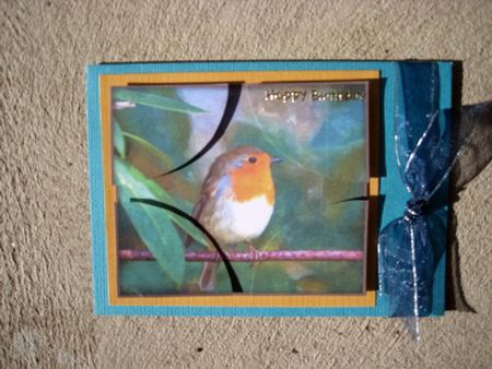 Sweet Little Robin Watercolour Corner Stacker by Wynona Oneil