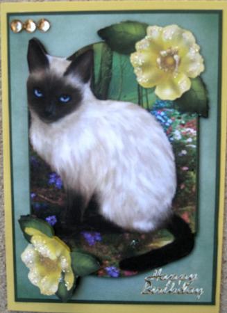 Siamese Cat by Wynona Oneil
