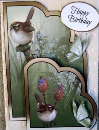 Lc Little Wren by Wynona Oneil