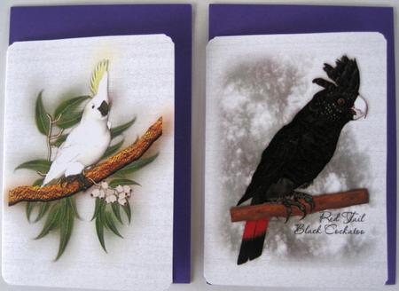 Australian Red Tail Black and White Cockatoos by Wynona Oneil