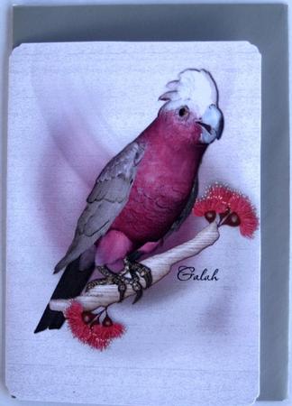Australian Budgerigar and Galah Notelet by Wynona Oneil