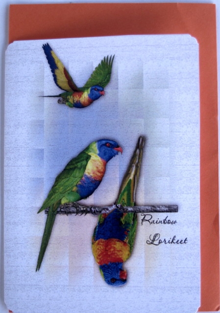 Australian Rainbow Lorikeets and Crimson Rosella Notelets by Wynona Oneil