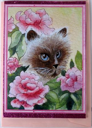 Cat and Pink Roses, Decoupage Card with Sentiments by Wynona Oneil