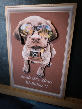 Happy Birthday dog  by Yana Pritchard
