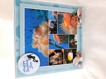 Reef Life Mini Kit by Yana Pritchard