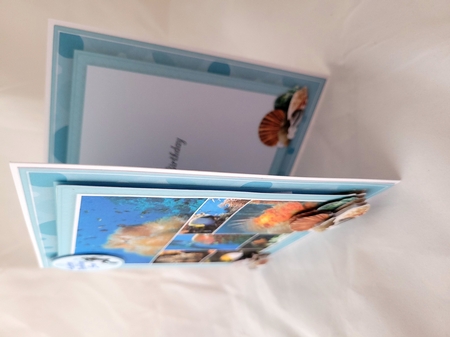 Reef Life Mini Kit by Yana Pritchard