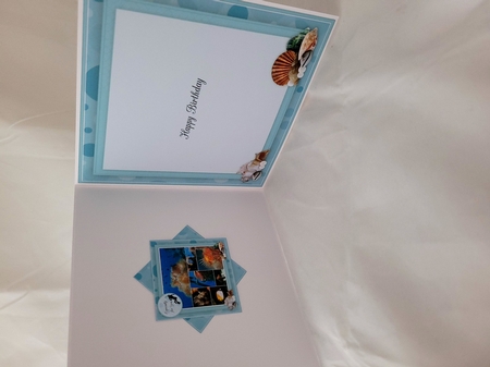 Reef Life Mini Kit by Yana Pritchard