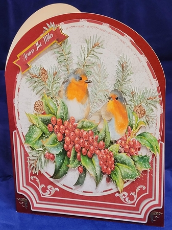Beautiful Robins on Lace  by Yana Pritchard