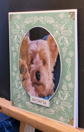 YORKSHIRE TERRIER LETS CATCH UP MULTIPLE SENTIMENTS  by Yana Pritchard