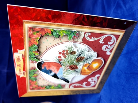 Easycut Christmas Robin by Yana Pritchard