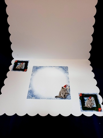Meowy Christmas Cat - British Shorthair by Yana Pritchard
